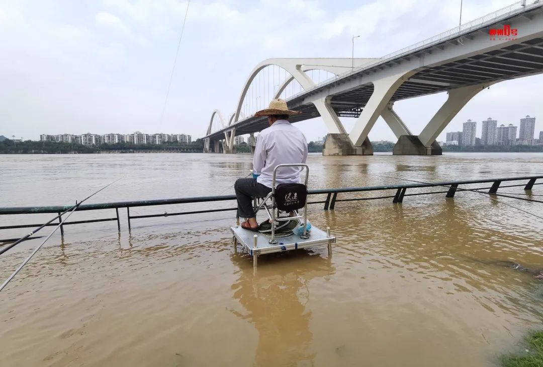 江水漫上亲水平台,有人在水中悠然垂钓.(李书厚 摄)
