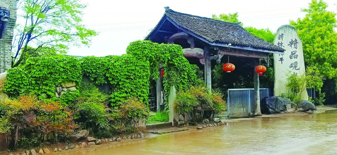 学会中医锦林佛手文化园清流环抱曲径通幽