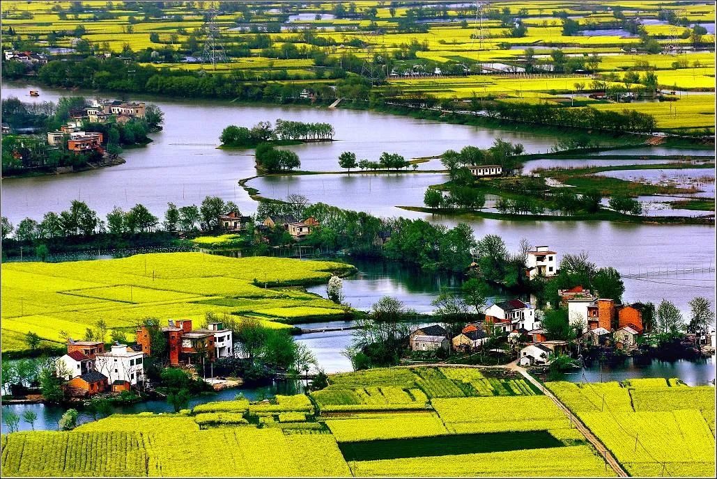 诗中节令田园绿遍山原白满川明月几时有61