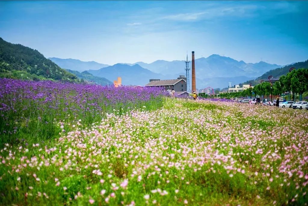 夏遊麗水:景寧網紅