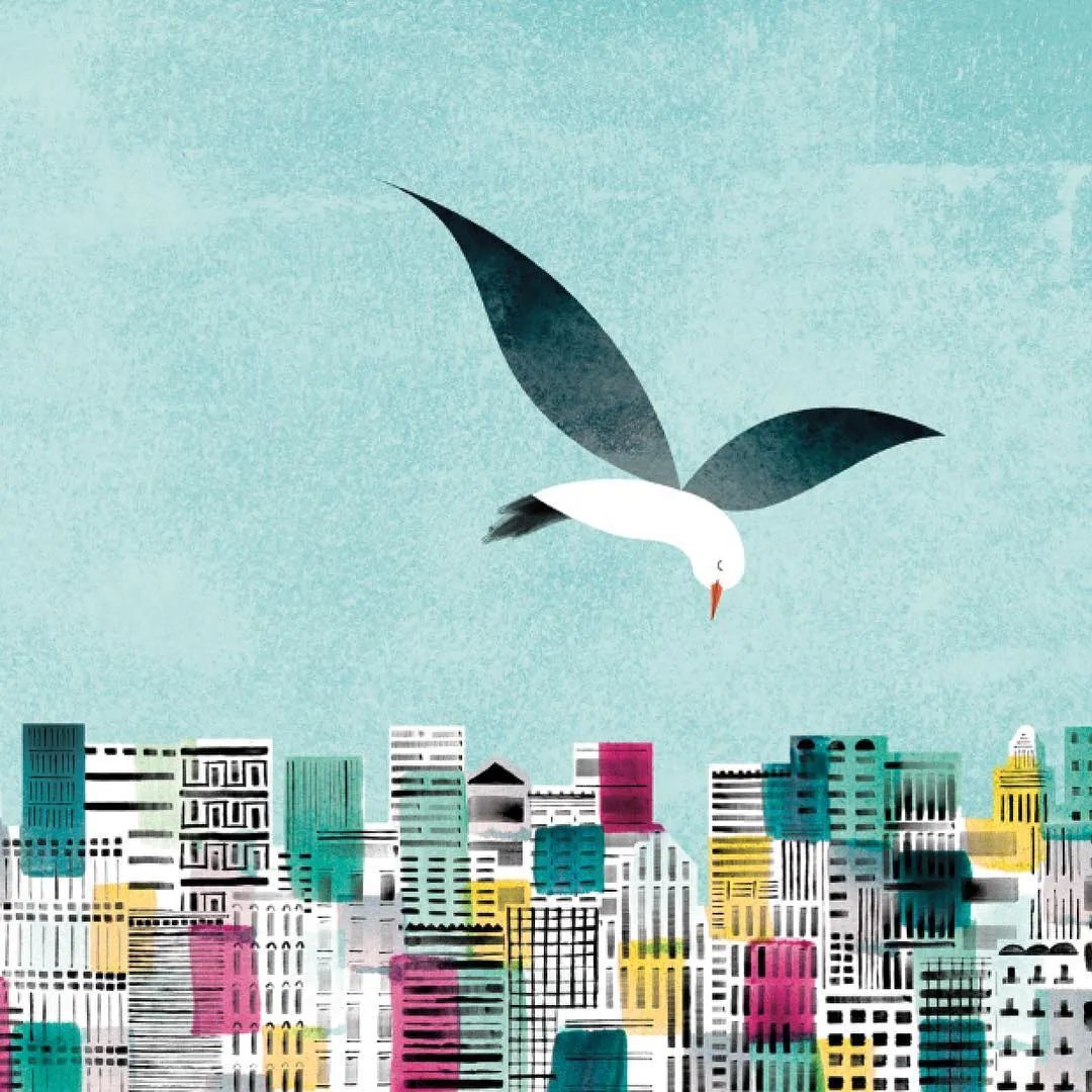 狐狸精 乌鸦嘴 动物为何总被 污名