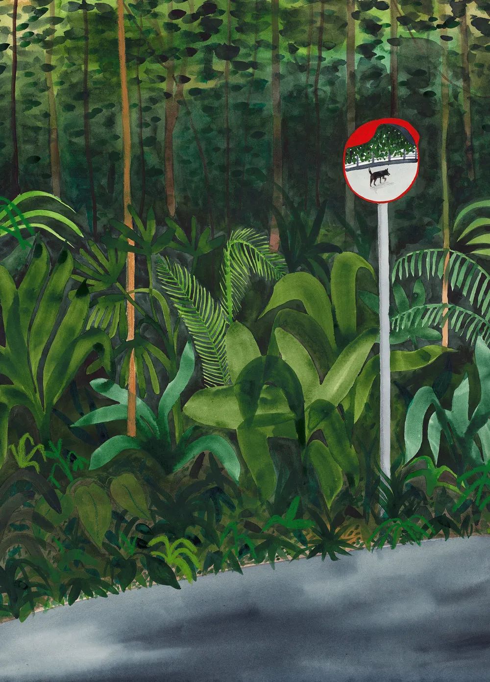 狐狸精 乌鸦嘴 动物为何总被 污名