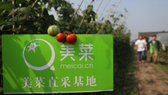 美菜网瞄准IPO，生鲜电商战局里究竟谁的“菜篮子”更大？