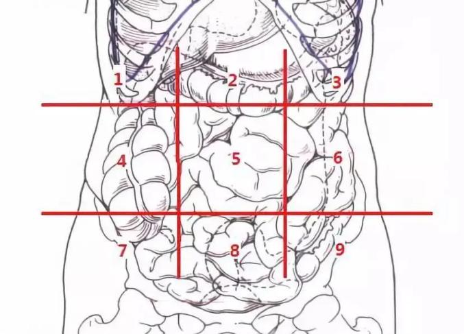 肚子疼究竟是哪疼?