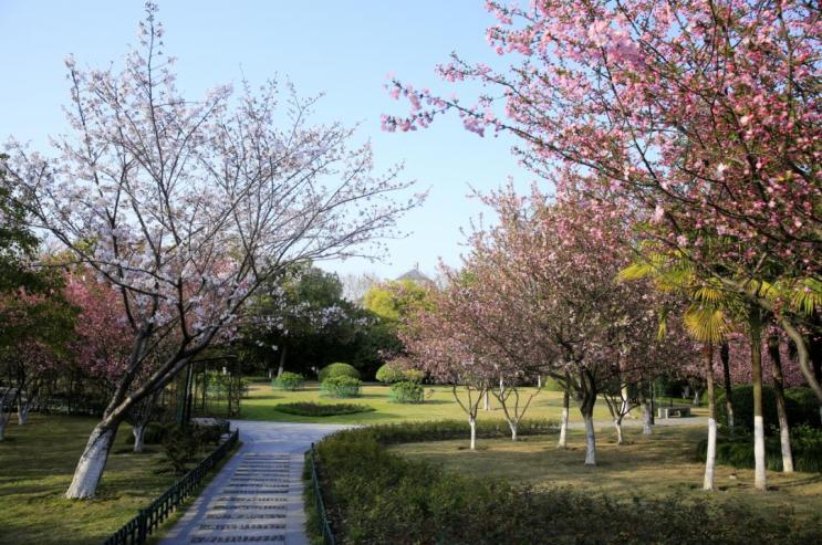 大关公园(拱墅区)