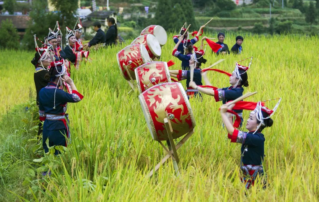 民族团结党旗红 畲乡景宁谱新篇_澎湃号·媒体_澎湃新闻-the paper