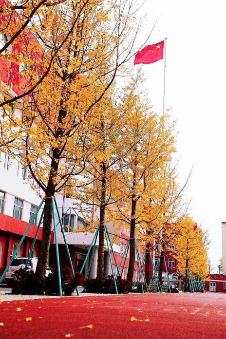 名校亮剑丨吉林市十二中