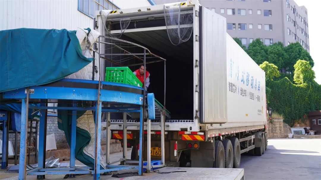 520前夕高铁开启鲜花批量运输