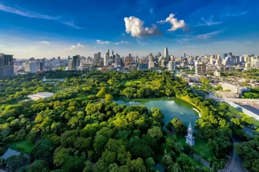 花样年·好未来,精神美学的思想结晶"可以踩踏的草坪