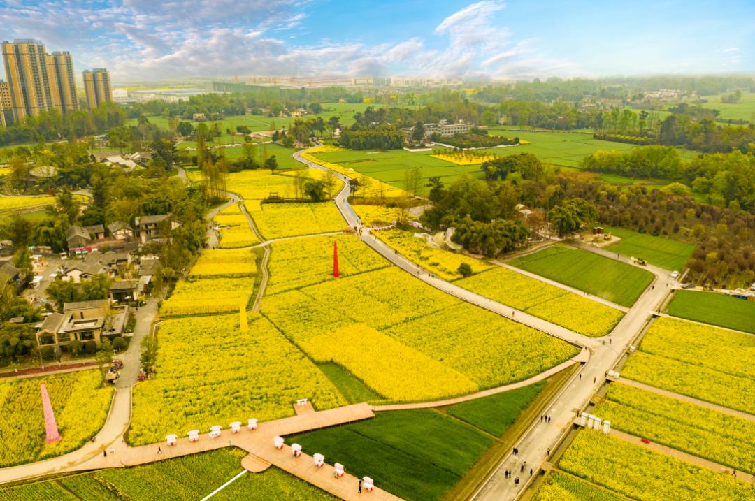 东林艺术村火出圈第二届天府大地艺术季华彩落幕