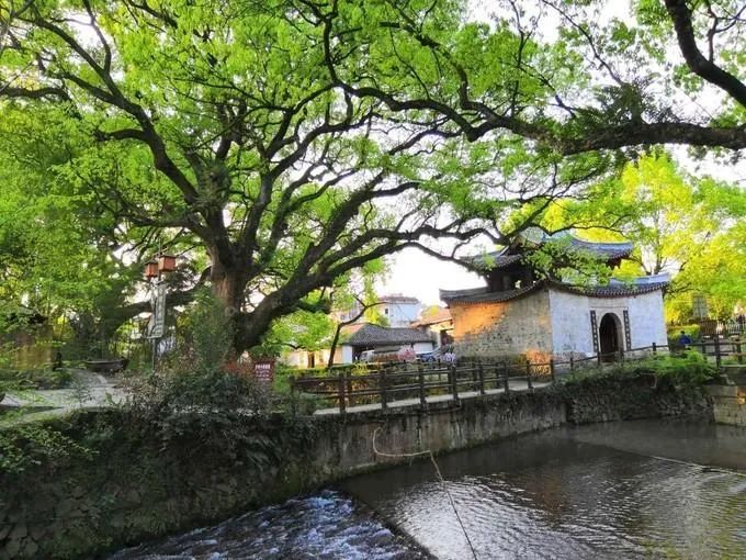 莲都区碧湖镇郎奇村是一个侨务资源较为丰富的村,有150多位华侨和归侨