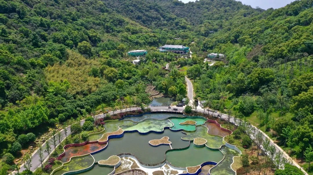 椒江植物园图片