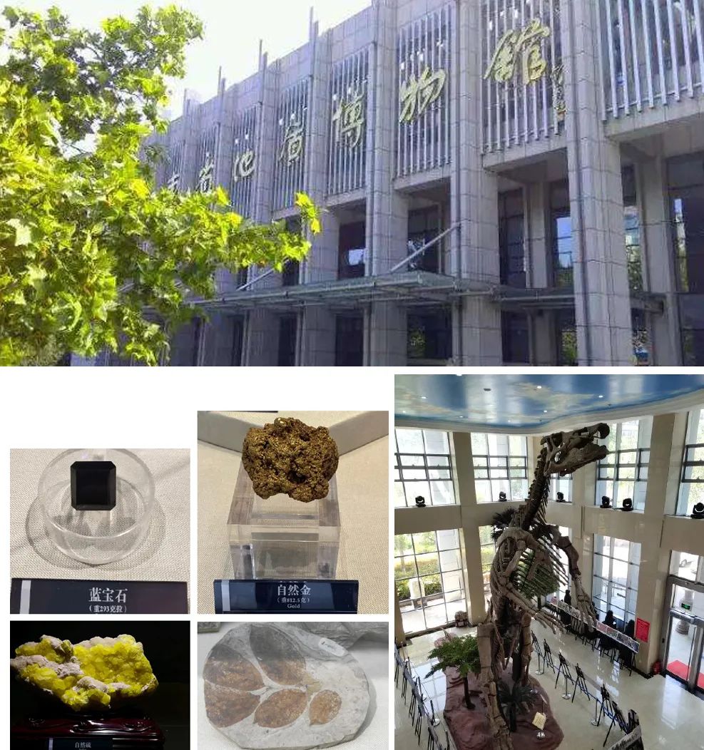 山东省地质博物馆——位于山东省济南市历下区经十东路114号,仅周末