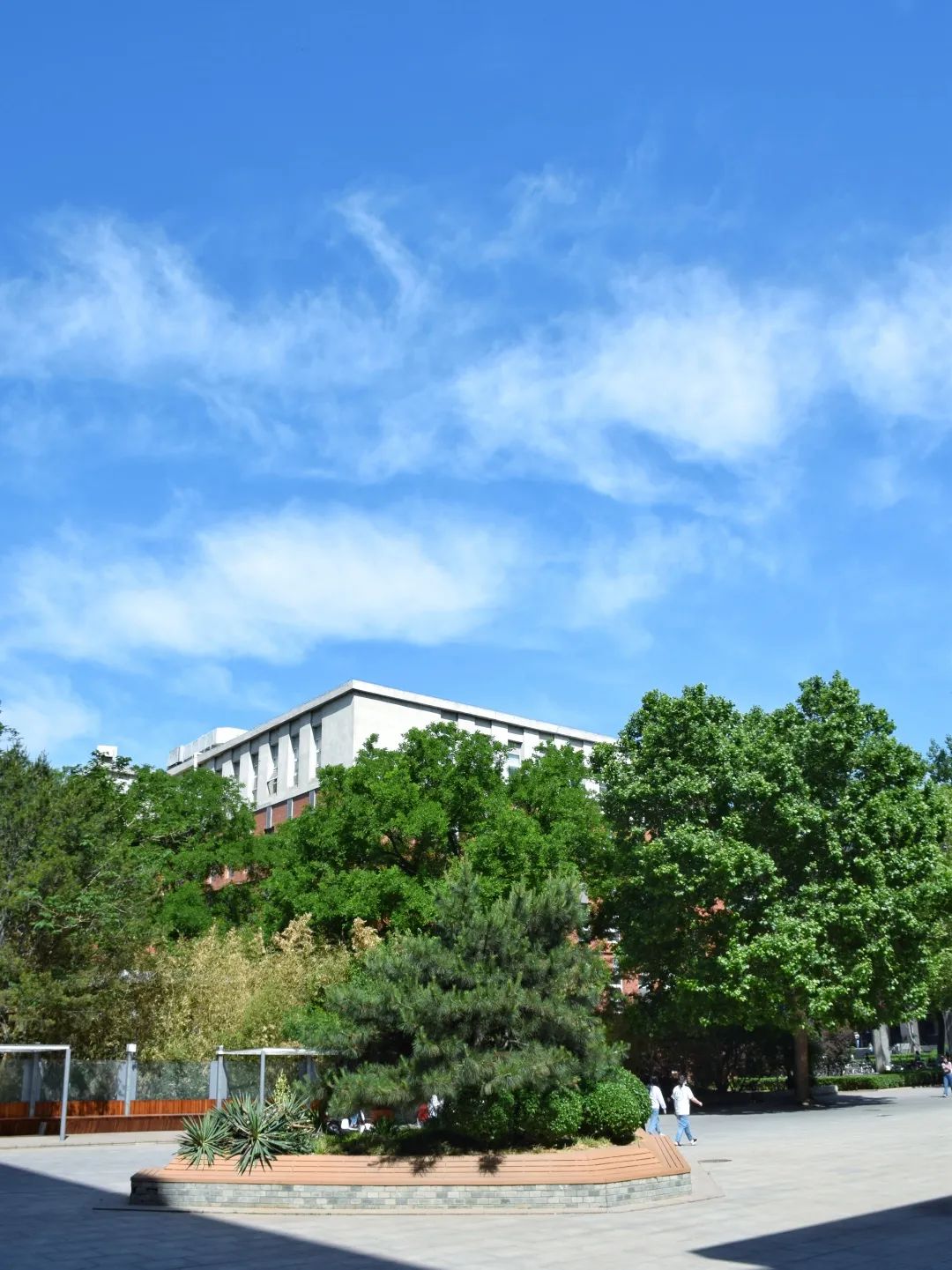 心动之美!北林五月天