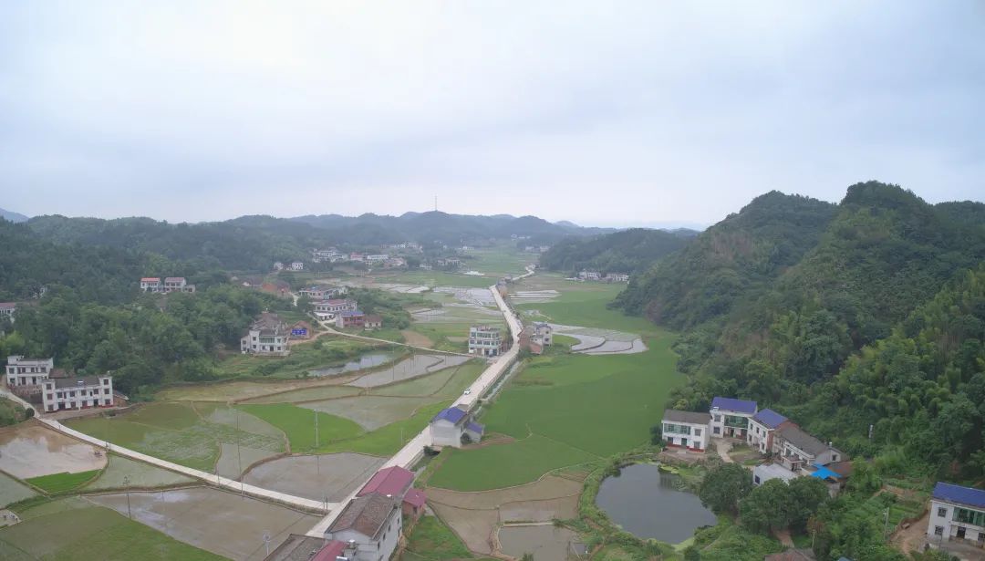 线大中修公路项目谭老爷子是土生土长的湖南省湘潭县青山桥镇观元村人