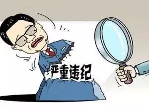 理塘县人民法院原刑事审判庭(未成年人案件审判庭)庭长阎书勇严重违纪