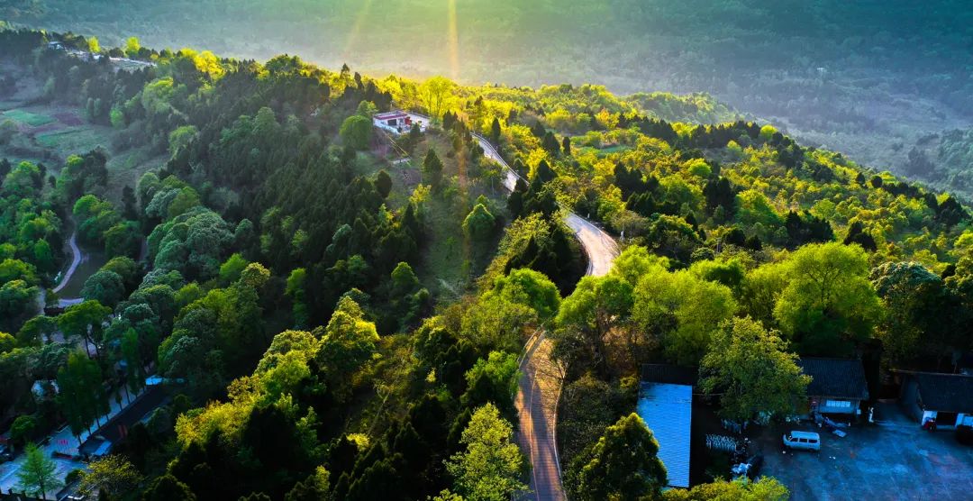 相约520!300企集聚龙泉驿,近万岗位等你来!_澎湃号·政务_澎湃新闻-th