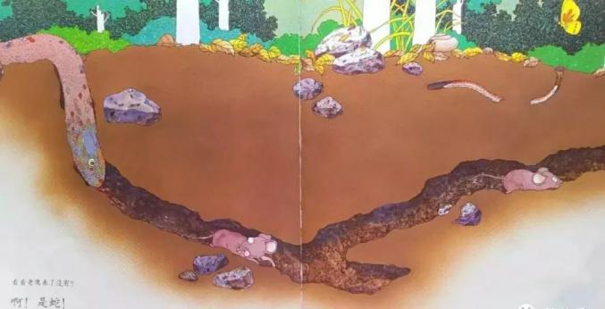 亲子时光绘本阅读第二百三十期