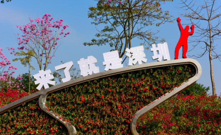 深圳十年增700多万人,公共设施将面临非常大的压力