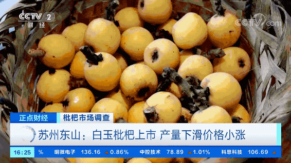 市场枇杷多少钱一斤啊