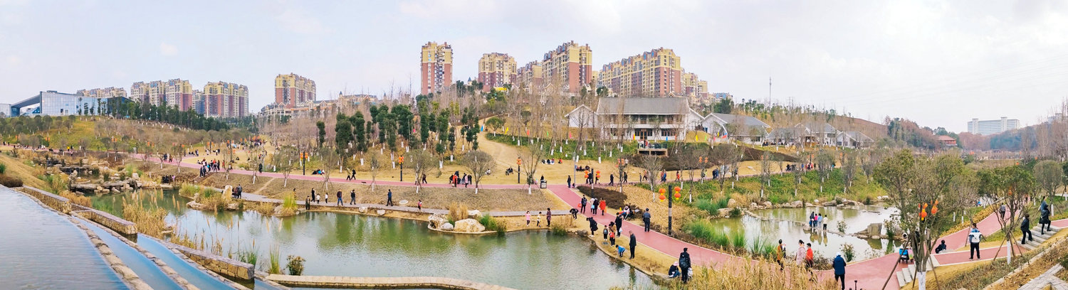 科技城人才公园下沉式水系便于雨水收集循环利用(蒲滔 摄)