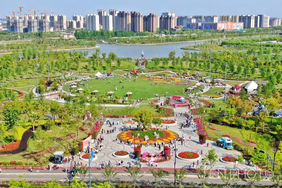 夏日探花奉贤花海惊艳盛开逛花展游公园你感兴趣的这里都有