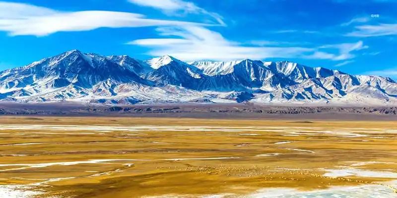 环西部火车游坐火车畅游五月的酒泉