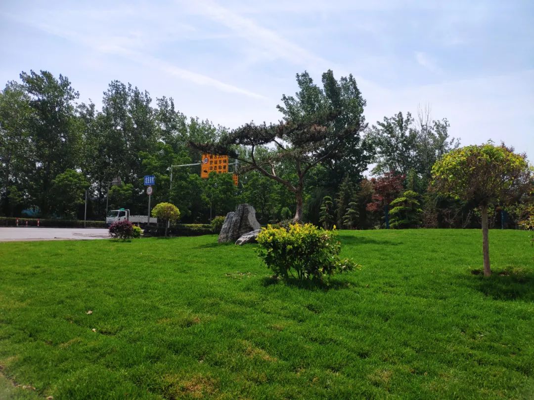 5天建成的小游园大家都说美