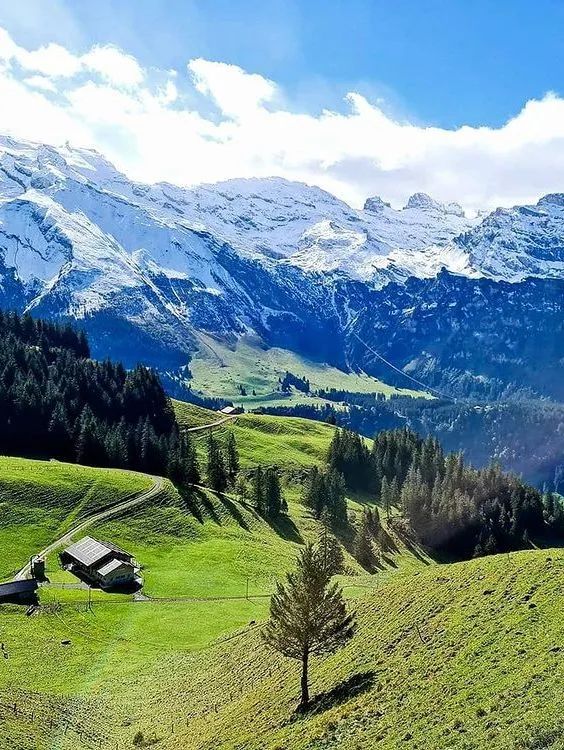 铁力士山给你的夏日降降温