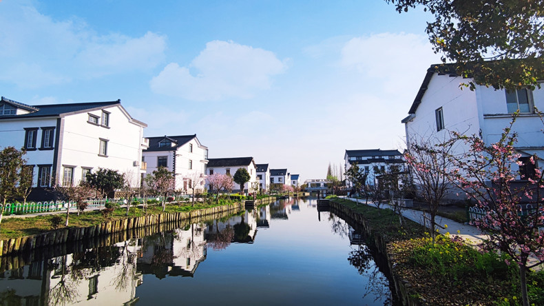 昆山千灯镇聚焦宜居宜业三力推动人居环境全面跃升