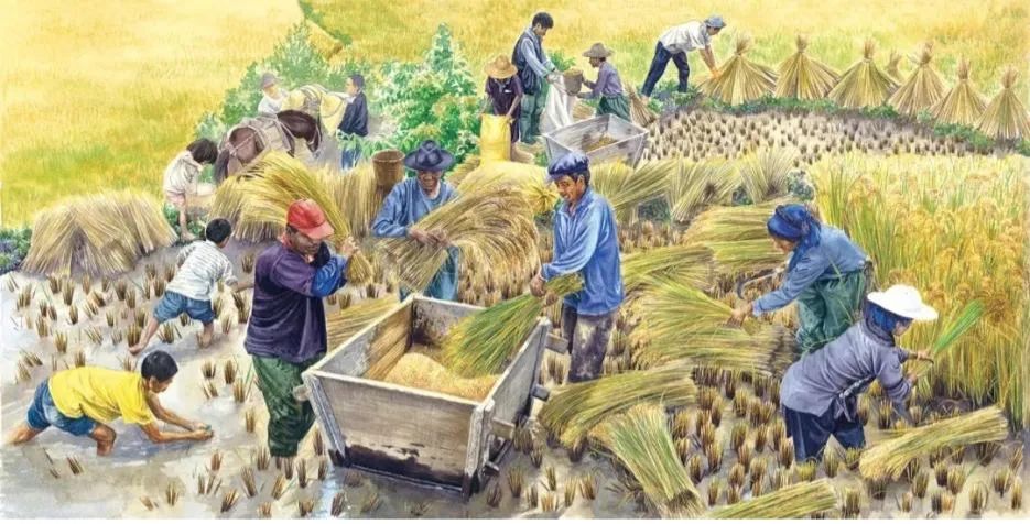 关乎400000000人的健康!今天是个特殊的日子,它不只是星期四