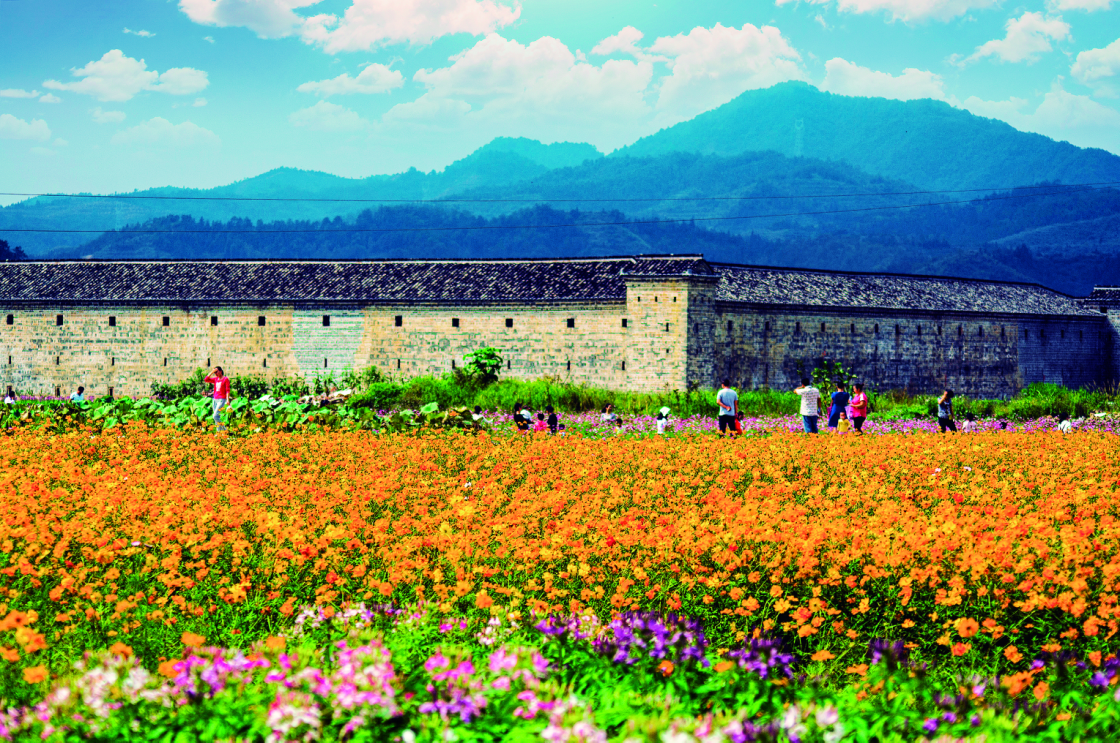 聚焦江西旅发大会 | 安远不远 景在眼前