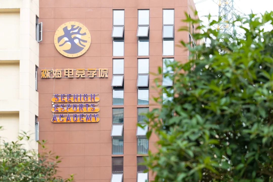 森海电竞学院.