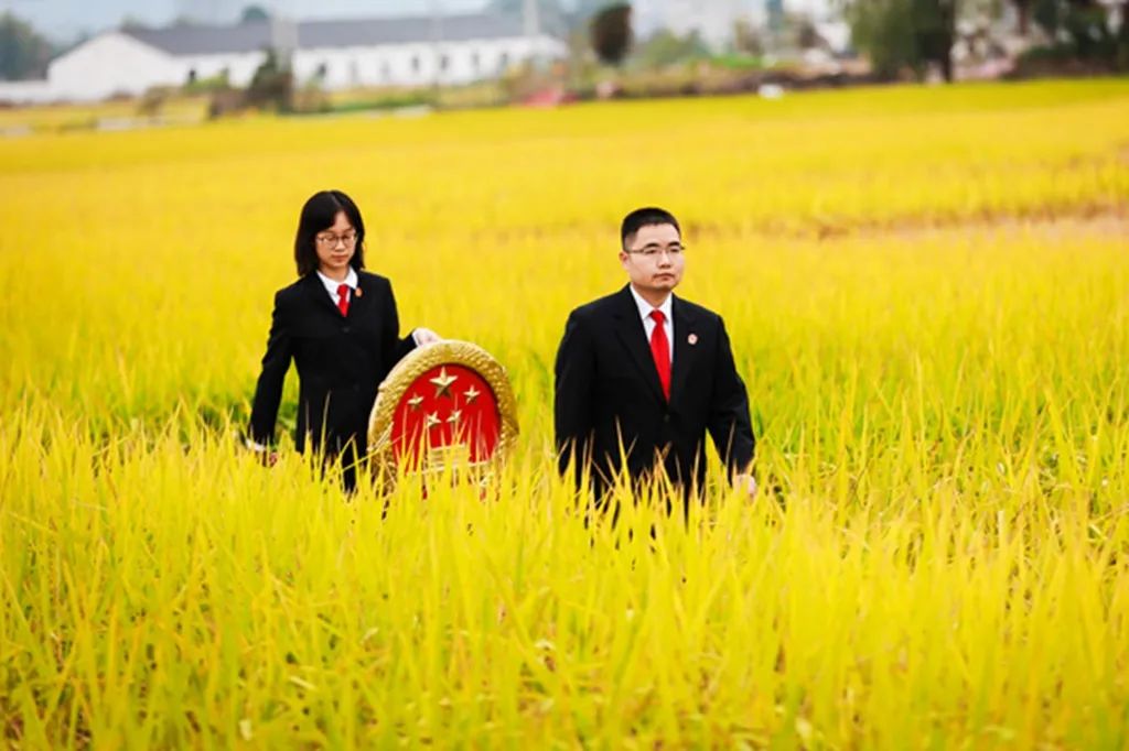 教育整顿61英模力量小镇法官程顺龙一片丹心促和谐