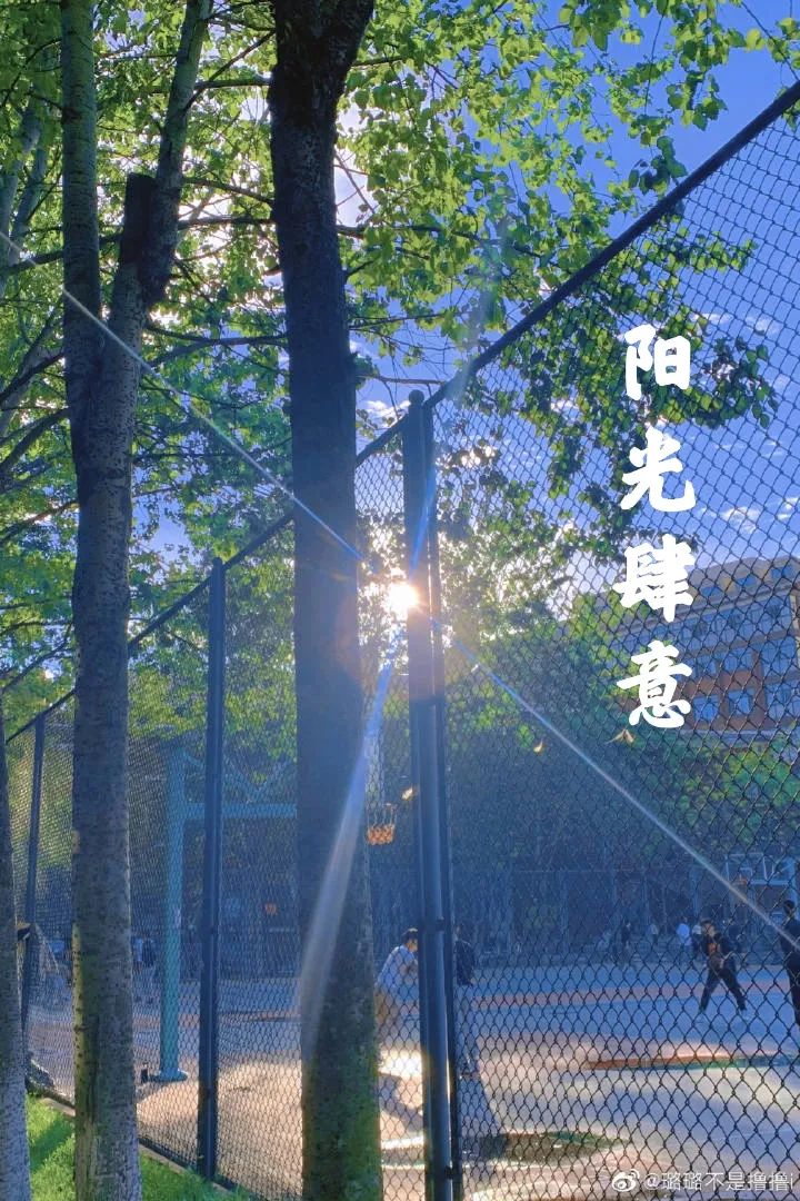 校园风景中有你一见钟情的成语吗来猜猜看520