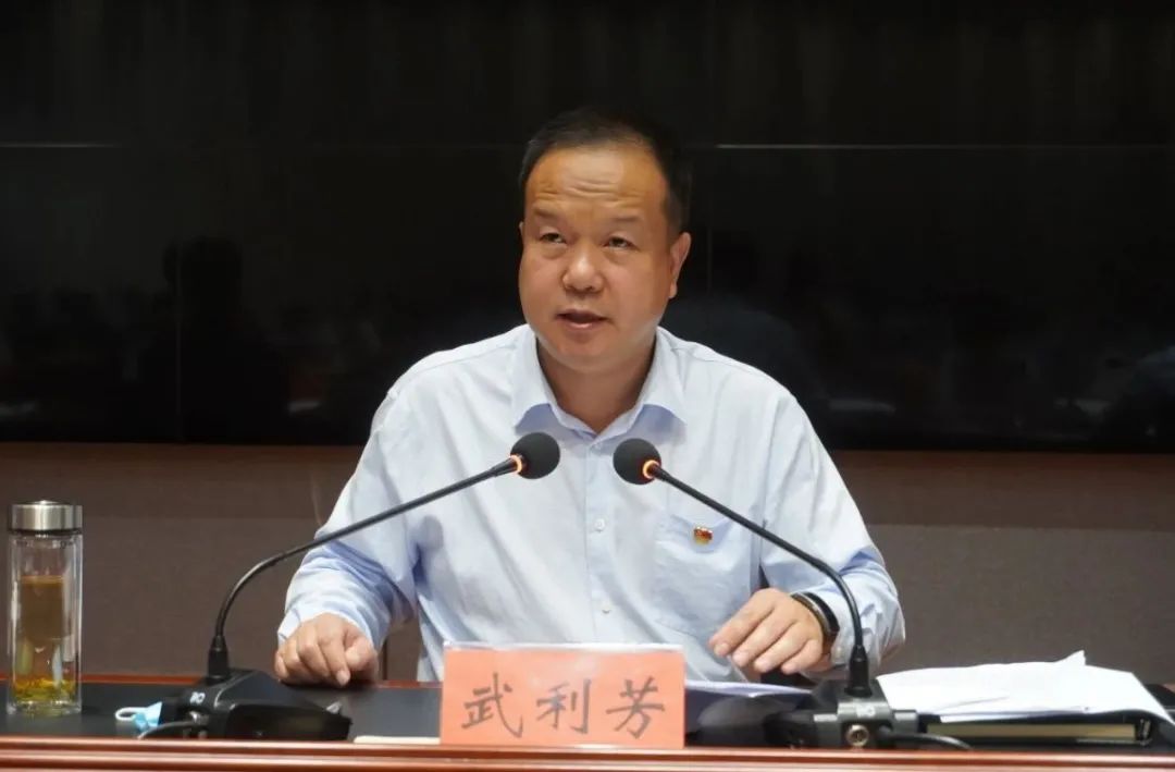 县委副书记,县长候选人武利芳主持召开打击非法采砂专