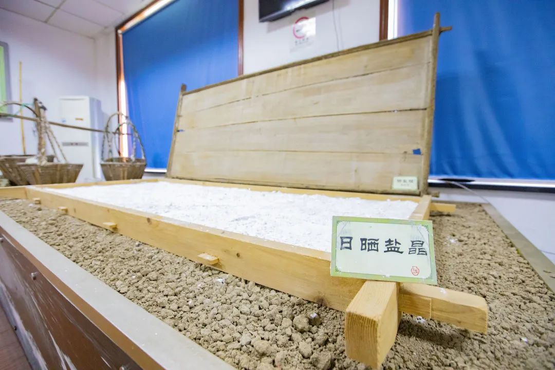 520去柘林哪里比较浪漫你需要这份博物馆旅游攻略