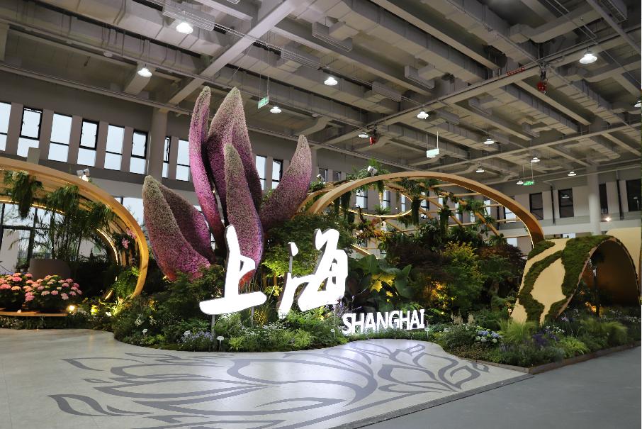 赏花时间到花博会哪个场馆最值得打卡当然是