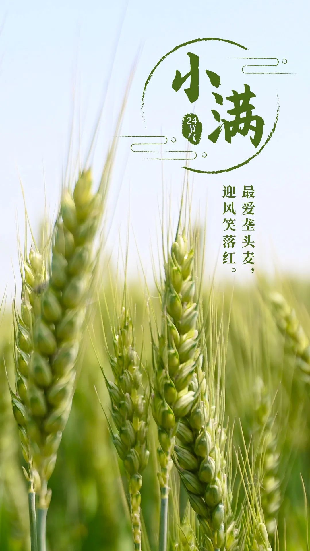 今日小满,徐州气温将蹭蹭上升!最高32度!_澎湃号·媒体_澎湃新闻-the 