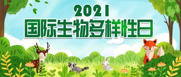 2021年國際生物多樣性日宣傳活動火熱開啟一鍵預約直播現場