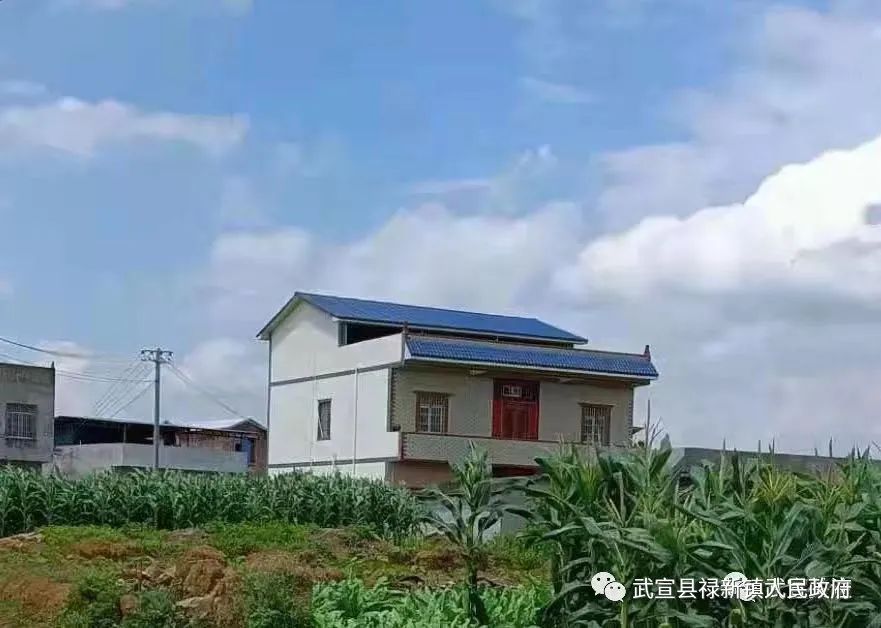 铁肩担重任 柔情显担当——记武宣县人大代表,禄新镇思布村村委副主任