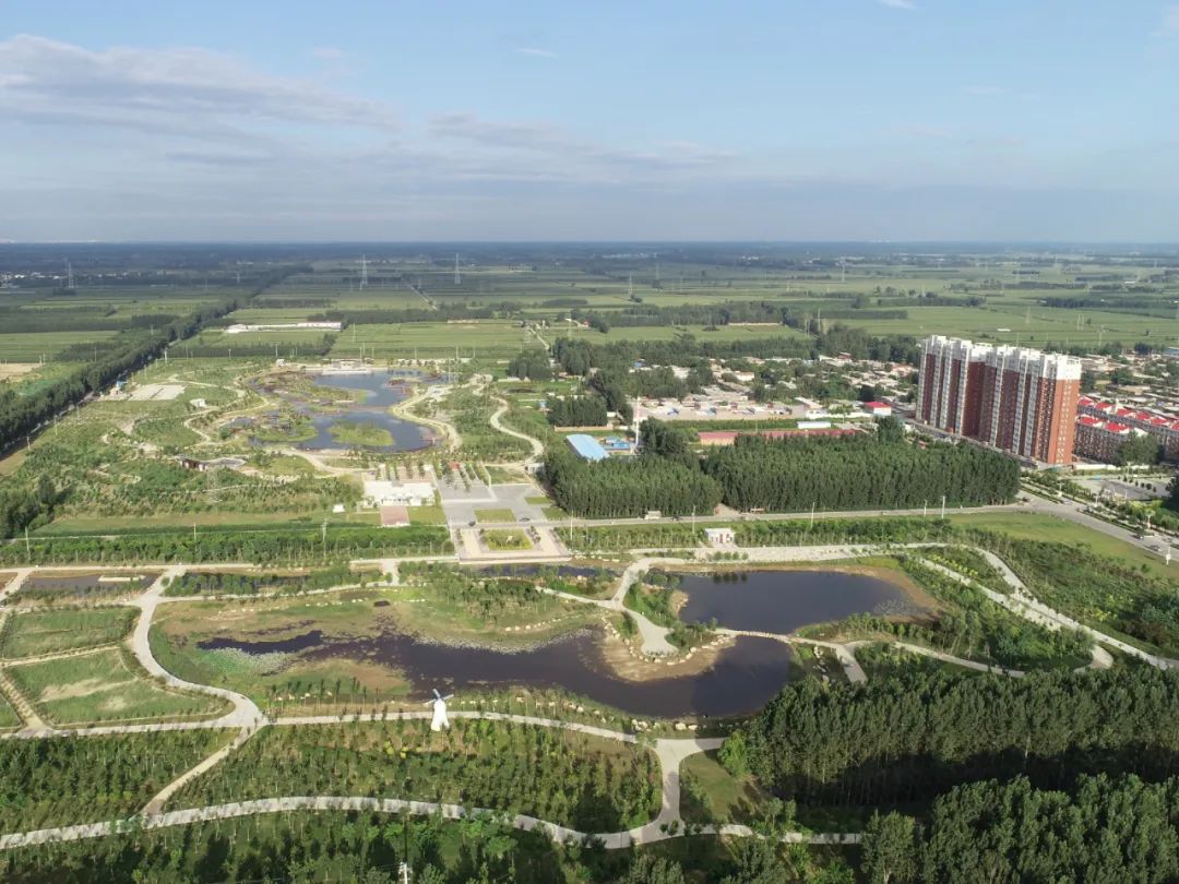 53公顷,辛集这个地方再添新名片