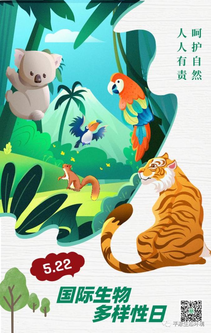 国际生物多样性日保护生物多样性就是保护我们的生命