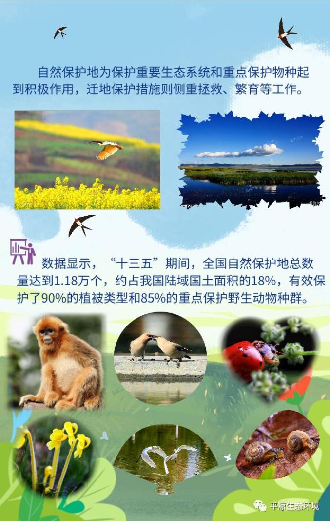 国际生物多样性日保护生物多样性就是保护我们的生命
