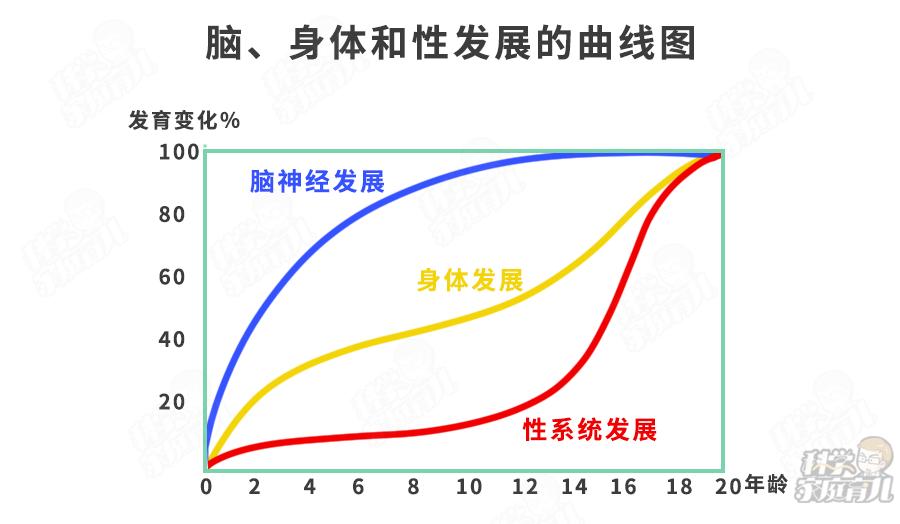 从小不运动的娃大脑发育慢