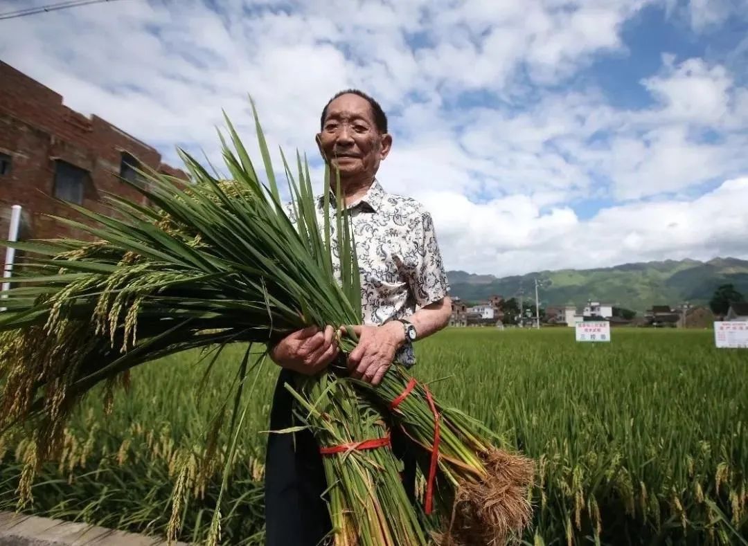 91岁袁隆平逝世：每一个人都该记得他的梦