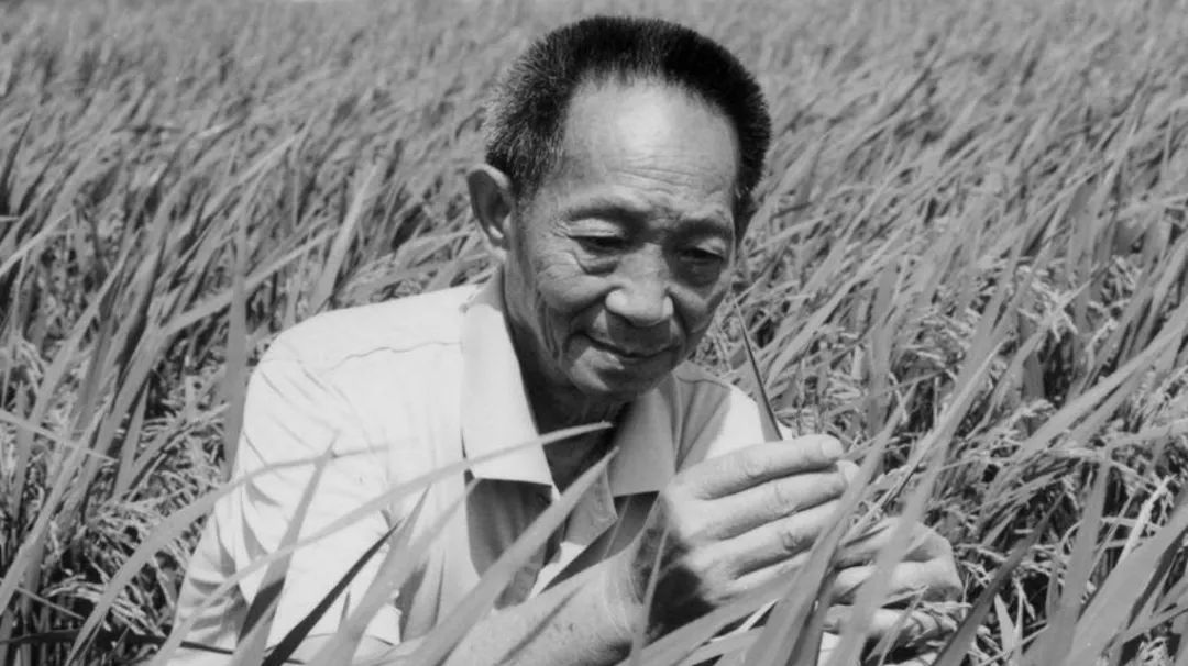 穿35元衣服的他,却让8亿人吃饱饭,这才是真正的国士无双!