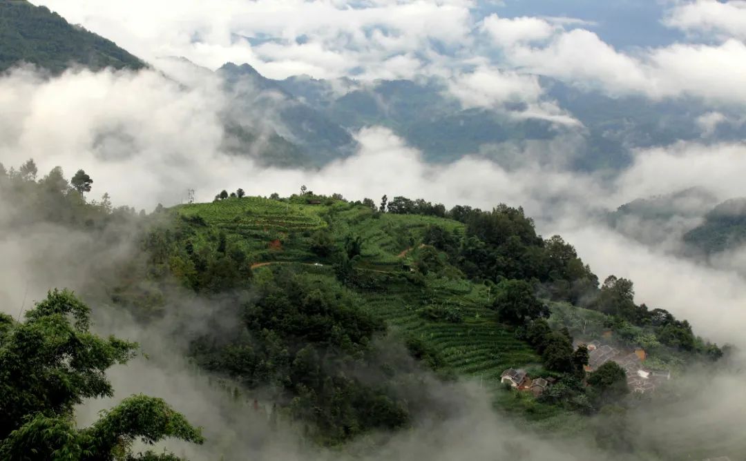 夜听普洱普洱打卡地丨昔忆千家寨之行