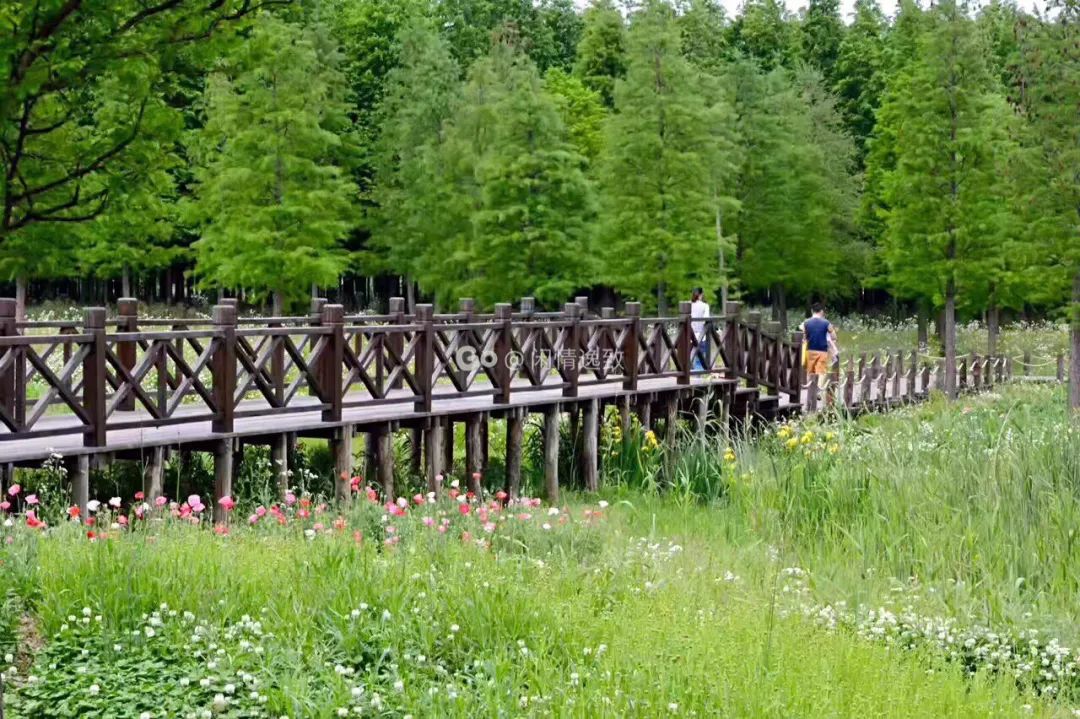 魔都五大免費郊野公園快來天然氧吧感受生活的美好