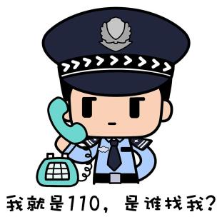 是每一次的恶意骚扰和无效占用是宝贵的社会公共资源110报警平台此外